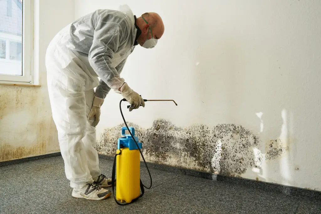 Rewind Restoration in Dallas / Fort Worth TX is the top choice for your mold remediation needs.