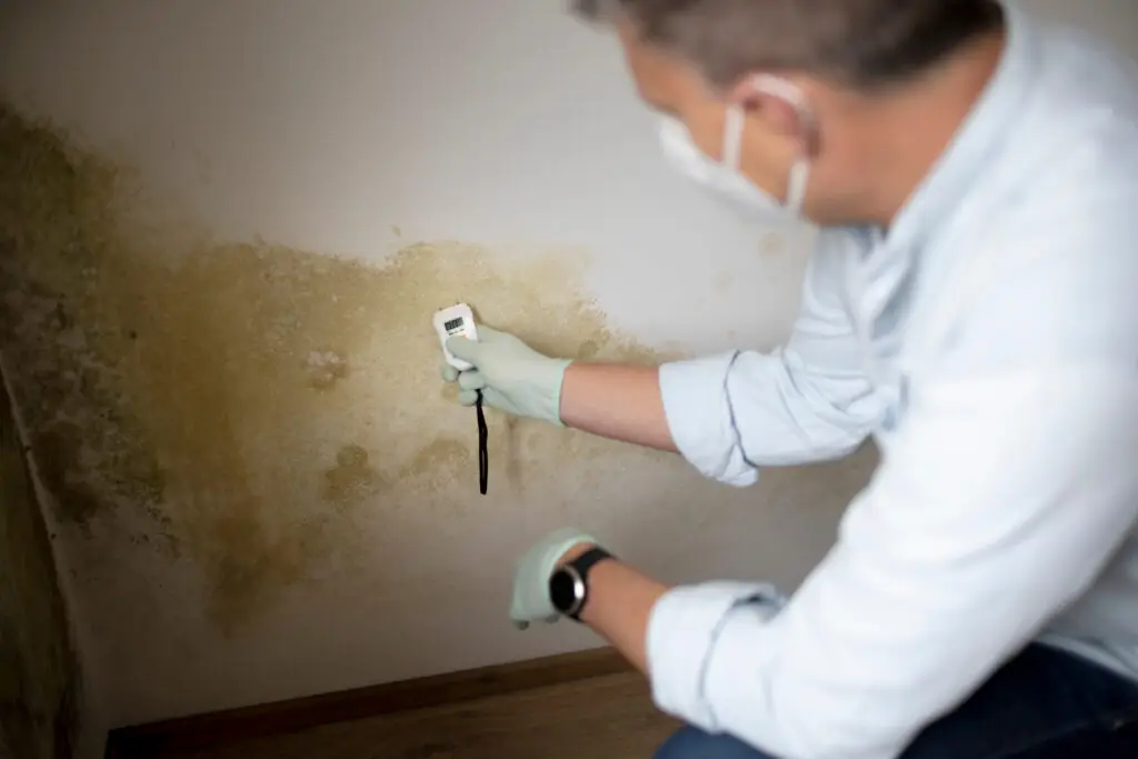 Trust Rewind Restoration in the Fort Worth area to help with your mold testing needs!